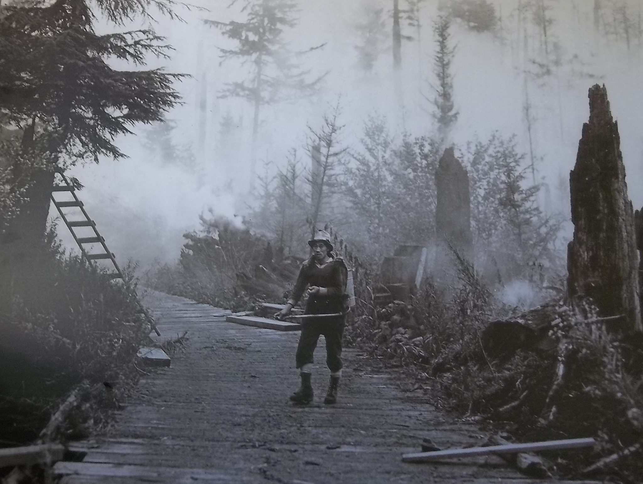 Vancouver Island's Great Forest Fire of August 1938 TW Paterson TW