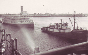 In semi-derelict condition, the old sternwheeler is towed into Victoria's Inner Harbour en route to Kitimat.